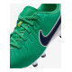 Дитячі Бутси Nike JR LEGEND 10 ACADEMY FG/MG LV8 Зелений 35 (7dHJ7190-300 35)