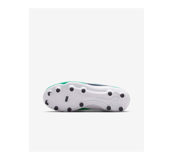 Дитячі Бутси Nike JR LEGEND 10 ACADEMY FG/MG LV8 Зелений 35.5 (7dHJ7190-300 35.5)