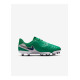 Дитячі Бутси Nike JR LEGEND 10 ACADEMY FG/MG LV8 Зелений 36.5 (7dHJ7190-300 36.5)