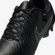 Чоловічі Бутси Nike LEGEND 10 ACADEMY FG/MG Чорний 40.5 (7dDV4337-002 40.5)