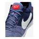 Чоловічі Футзалки Nike STREETGATO Бузковий 45 (7dDC8466-500 45)
