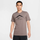 Чоловіча Футболка Nike M DF TEE TRAIL LOGO Коричневий M (7dFQ3914-289 M)