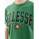 Чоловіча Футболка Ellesse Colombia 2 Tee Зелений 2XL (7dSHR17640-503 2XL)