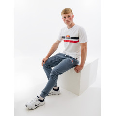 Чоловіча Футболка Ellesse Aprel Tee Білий L (7dSHR06453-908 L)