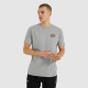 Чоловіча Футболка Ellesse Canaletto Tee Сірий M (7dSHS04548-112 M)