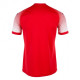 Чоловіча футболка Joma HISPA червоний M 100943.602 M