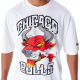 Чоловіча Футболка New Era GRAPHIC BULLS Білий M (7d60565031 M)