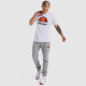 Чоловіча Футболка Ellesse Dyne Tee Білий L (7dSXG12736-908 L)