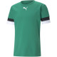 Чоловіча Футболка Puma teamRISE Jersey зелений Чол S 704932-05 S