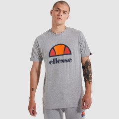 Чоловіча Футболка Ellesse Dyne Tee Сірий L (7dSXG12736-112 L)