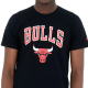 Чоловіча Футболка New Era NOS NBA REGULAR TEE BULLS Чорний S (7d60416749 S)
