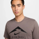 Чоловіча Футболка Nike M DF TEE TRAIL LOGO Коричневий L (7dFQ3914-289 L)