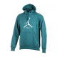 Чоловіче Худі JORDAN M J ESS FLC BASELINE HOODIE Зелений L (7dFD7545-366 L)