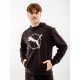 Чоловіче Худі PUMA BETTER SPORTSWEAR Hoodie Чорний M (7d67606401 M)