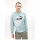 Чоловіче Худі Puma POWER Graphic Hoodie Бірюзовий S (7d67896322 S)