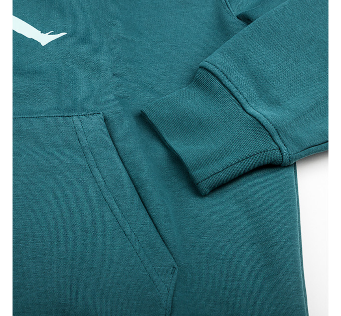 Чоловіче Худі JORDAN M J ESS FLC BASELINE HOODIE Зелений M (7dFD7545-366 M)