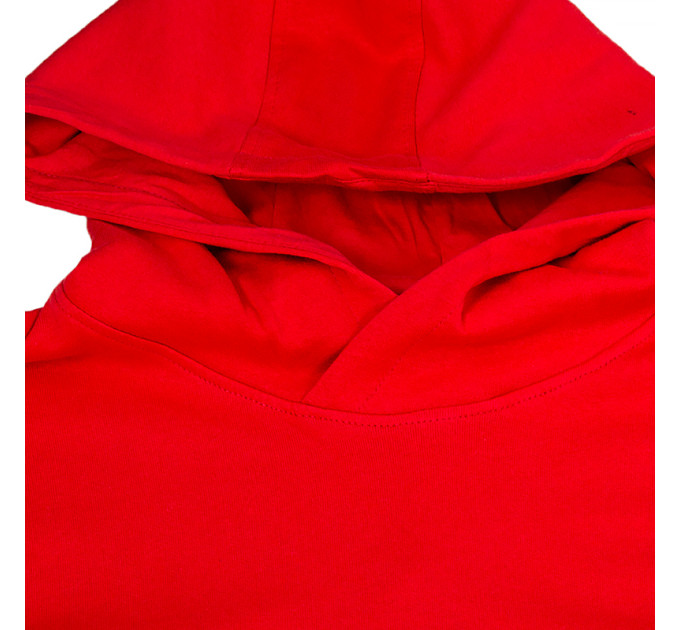 Чоловіче Худі JEEP HOODED SWEATSHIRT Червоний L (O102566-R699 L)