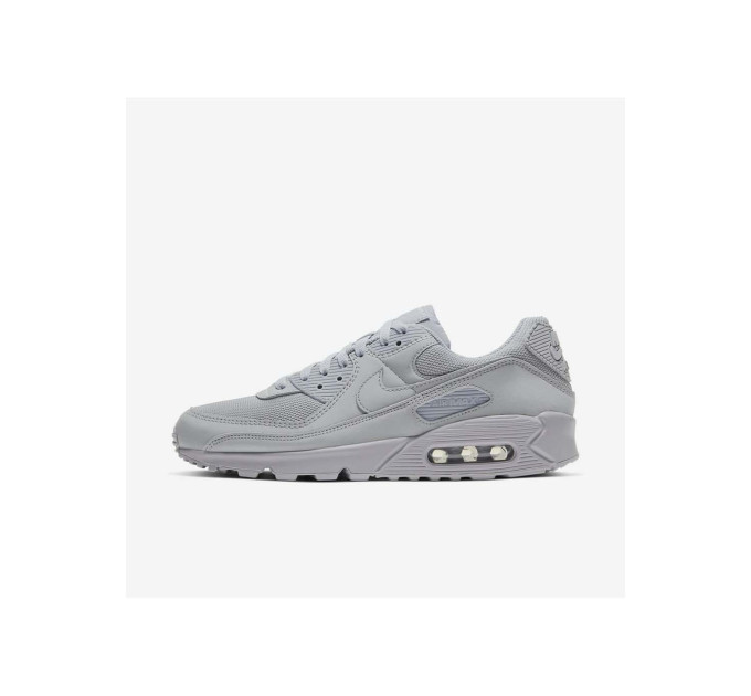 Чоловічі Кросівки Nike AIR MAX 90 Сірий 44.5 (7dCN8490-001 44.5)