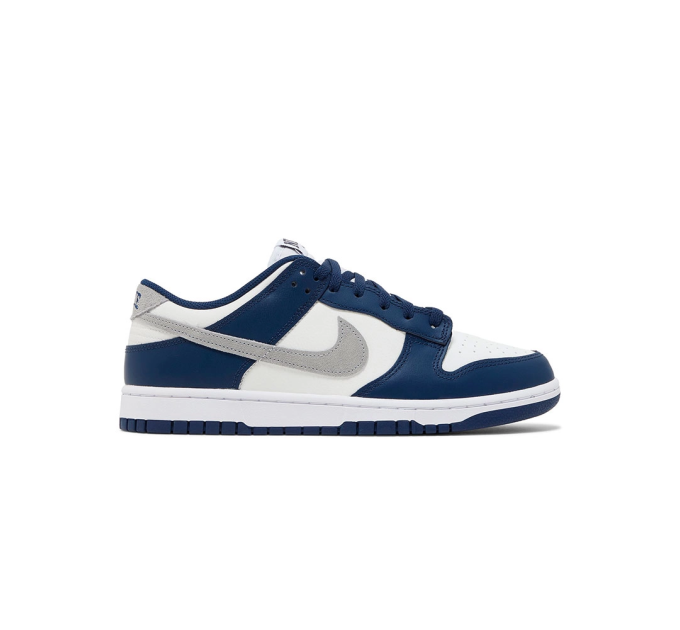 Чоловічі Кросівки Nike DUNK LOW Різнокольоровий 42.5 (7dFD9749-400 42.5)