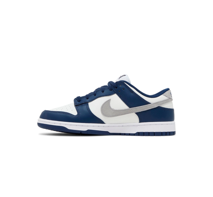 Чоловічі Кросівки Nike DUNK LOW Різнокольоровий 42.5 (7dFD9749-400 42.5)