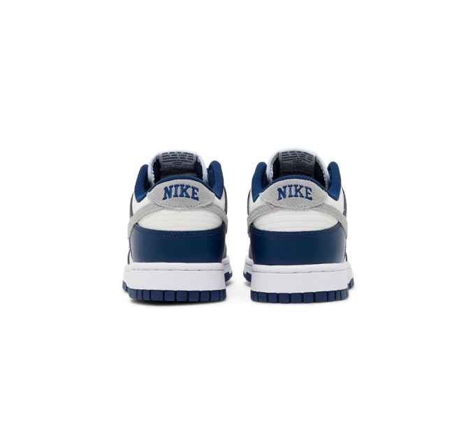 Чоловічі Кросівки Nike DUNK LOW Різнокольоровий 42.5 (7dFD9749-400 42.5)