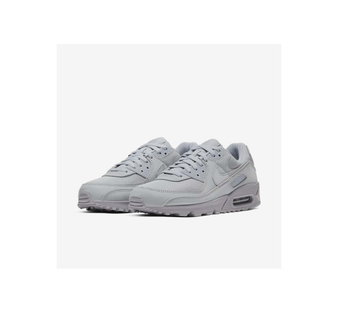 Чоловічі Кросівки Nike AIR MAX 90 Сірий 45.5 (7dCN8490-001 45.5)