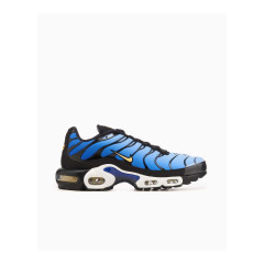 Чоловічі Кросівки Nike AIR MAX PLUS OG Синій 41 (7dDX0755-001 41)