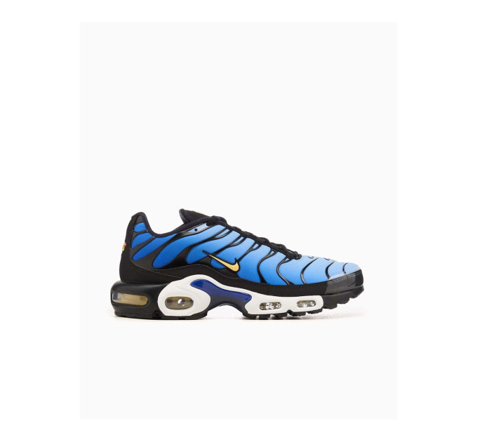 Чоловічі Кросівки Nike AIR MAX PLUS OG Синій 41 (7dDX0755-001 41)