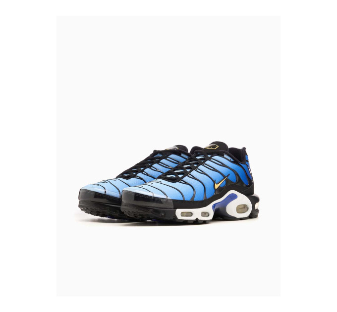 Чоловічі Кросівки Nike AIR MAX PLUS OG Синій 41 (7dDX0755-001 41)