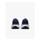 Чоловічі Кросівки Nike REVOLUTION 7 Синій 48.5 (7dFB2207-400 48.5)