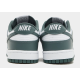 Чоловічі Кросівки Nike DU LOW RETRO Зелений 40 (7dDV0833-111 40)