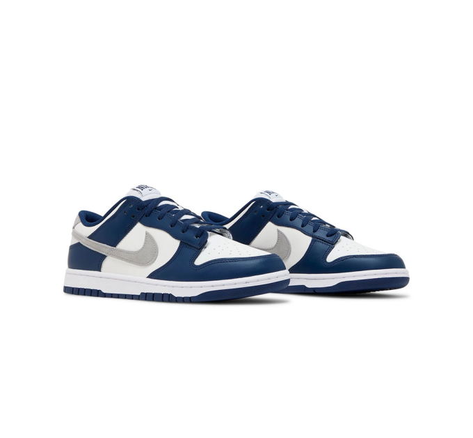 Чоловічі Кросівки Nike DUNK LOW Різнокольоровий 43 (7dFD9749-400 43)