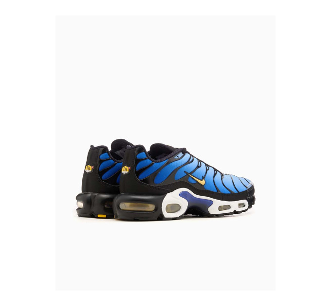 Чоловічі Кросівки Nike AIR MAX PLUS OG Синій 42 (7dDX0755-001 42)