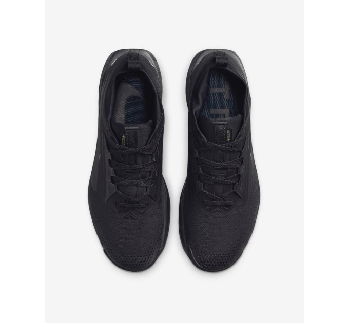 Чоловічі Кросівки Nike PEGASUS TRAIL 5 GTX Чорний 42 (7dFQ0908-002 42)