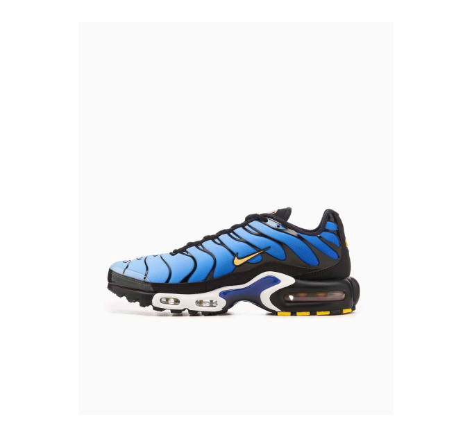 Чоловічі Кросівки Nike AIR MAX PLUS OG Синій 44 (7dDX0755-001 44)