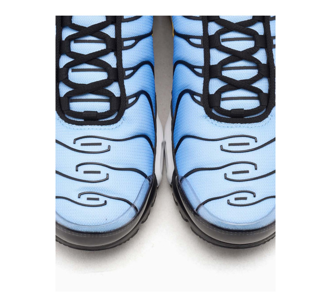 Чоловічі Кросівки Nike AIR MAX PLUS OG Синій 44 (7dDX0755-001 44)