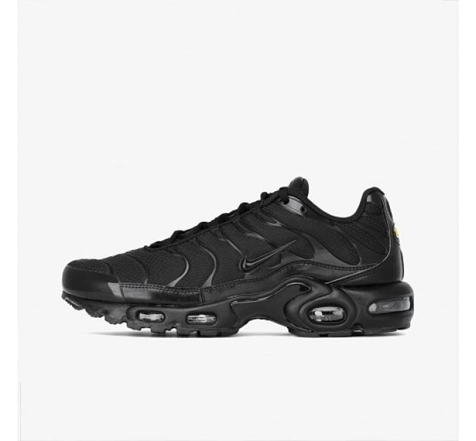 Чоловічі Кросівки Nike AIR MAX PLUS Чорний 44 (7d604133-050 44)