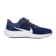 Чоловічі Кросівки Nike AIR ZOOM PEGASUS 40 Синій 41 (7dDV3853-400 41)
