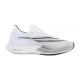 Чоловічі Кросівки Nike NIKE ZOOMX STREAKFLY Комбінований 40.5 (DJ6566-101 40.5)