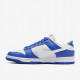Чоловічі Кросівки Nike Dunk Low Racer Blue Photon Dust Чорний 42 (7dFN3416-001 42)