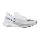 Чоловічі Кросівки Nike NIKE ZOOMX STREAKFLY Комбінований 44.5 (DJ6566-101 44.5)