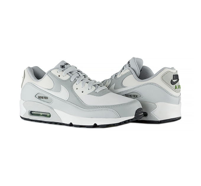 Чоловічі Кросівки Nike AIR MAX 90 GTX Різнокольоровий 41 (7dDJ9779-003 41)