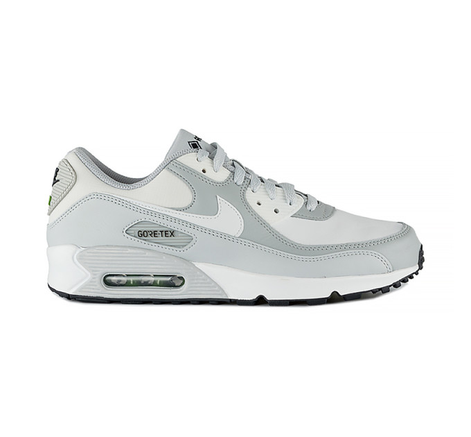 Чоловічі Кросівки Nike AIR MAX 90 GTX Різнокольоровий 41 (7dDJ9779-003 41)