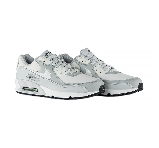 Чоловічі Кросівки Nike AIR MAX 90 GTX Різнокольоровий 41 (7dDJ9779-003 41)
