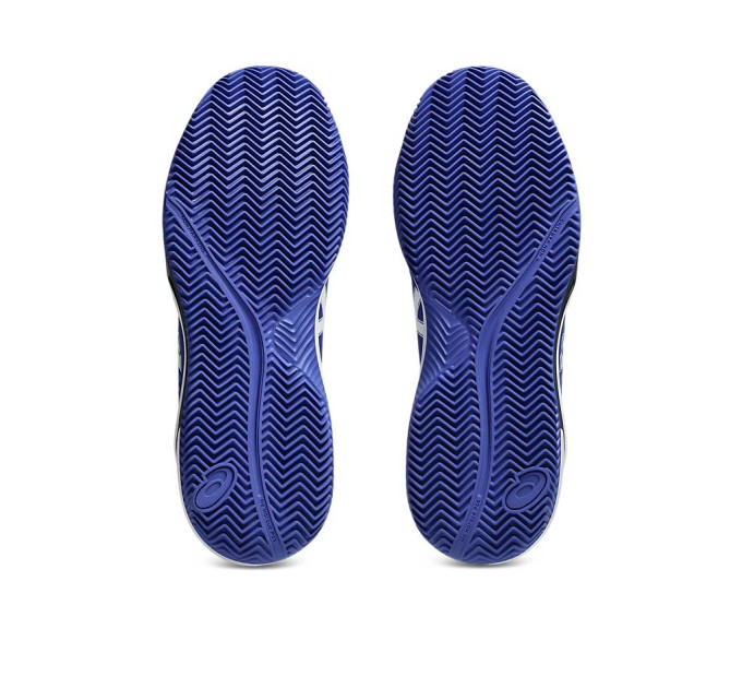 Чоловічі Кросівки Asics Gel-Dedicate 8 clay cobalt blue (46) 11.5 041A448-402 46