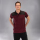 Поло Joma POLO SHIRT WINNER II COTTON BURGUNDY-BLACK S/S бордовий,чорний L 101282.672 L