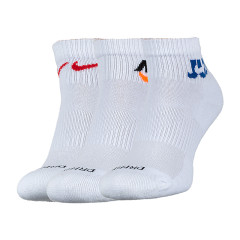 Чоловічі Шкарпетки Nike U NK EVERYDAY PLUS CUSH ANKLE Білий 42-46 (7dDH3827-902 42-46)