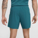 Шорти чоловічі Nike RAFA MNK DFADV SHORT 7IN Зелений XL (DV2881-381 XL)