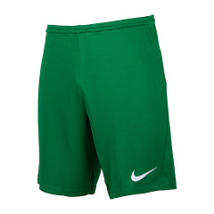 Чоловічі Шорти Nike M NK DF PARK III SHORT NB K Зелений M (BV6855-302 M)