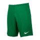 Чоловічі Шорти Nike M NK DF PARK III SHORT NB K Зелений M (BV6855-302 M) Чоловічі Шорти Nike M NK DF PARK III SHORT NB K Зелений M (BV6855-302 M)